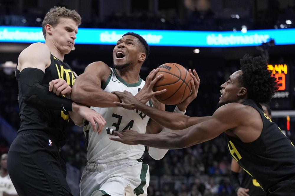 带着顽强的 带着顽强的